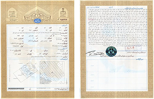 پایانکار سلمان محمدی